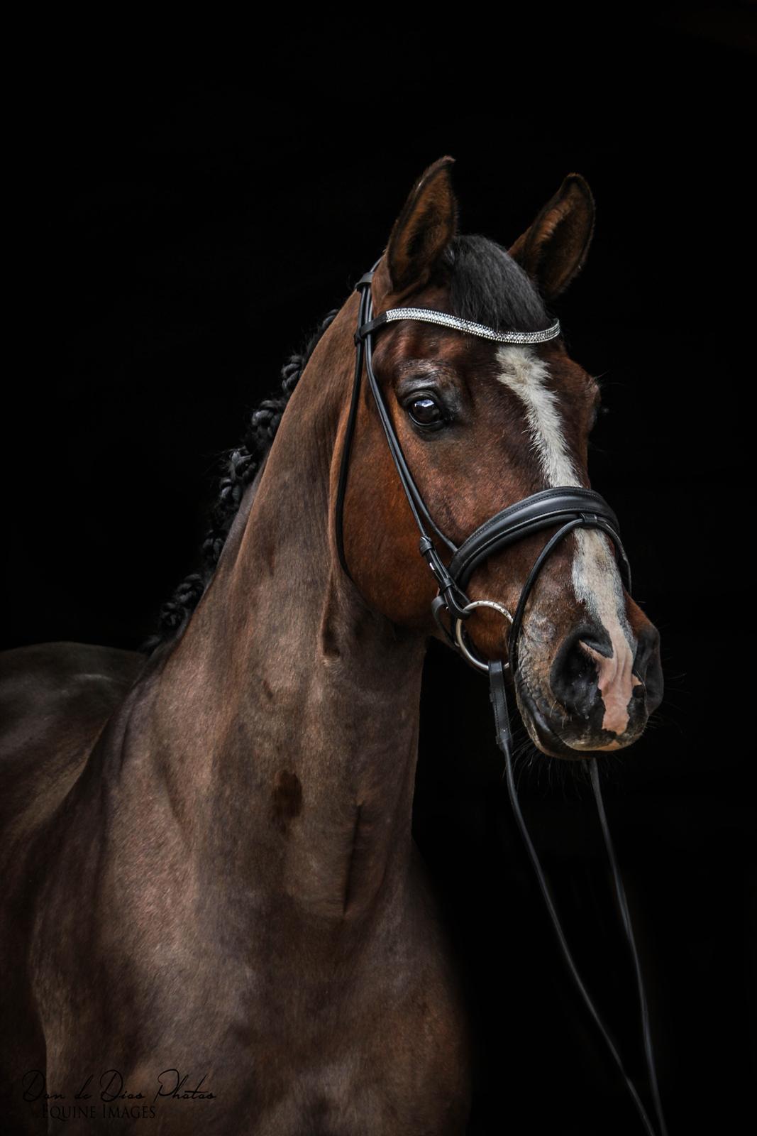 Anden særlig race Smooth jazz - asterix billede 10