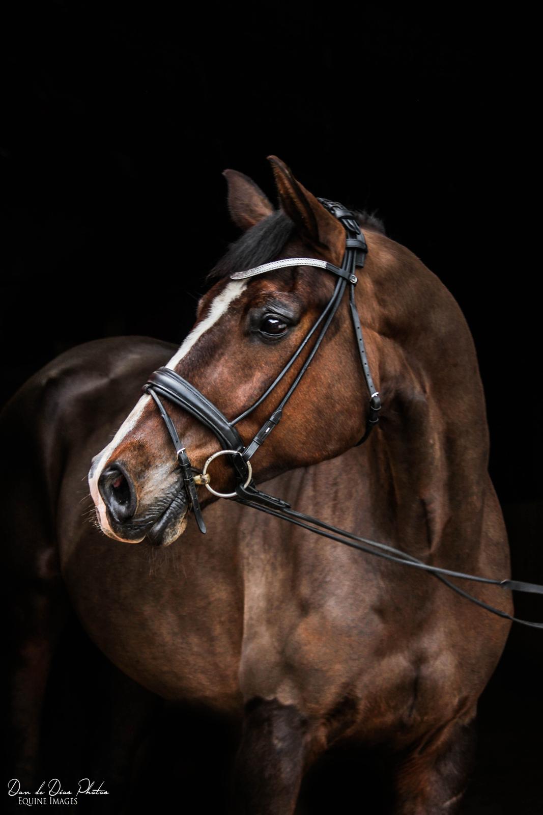 Anden særlig race Smooth jazz - asterix billede 11