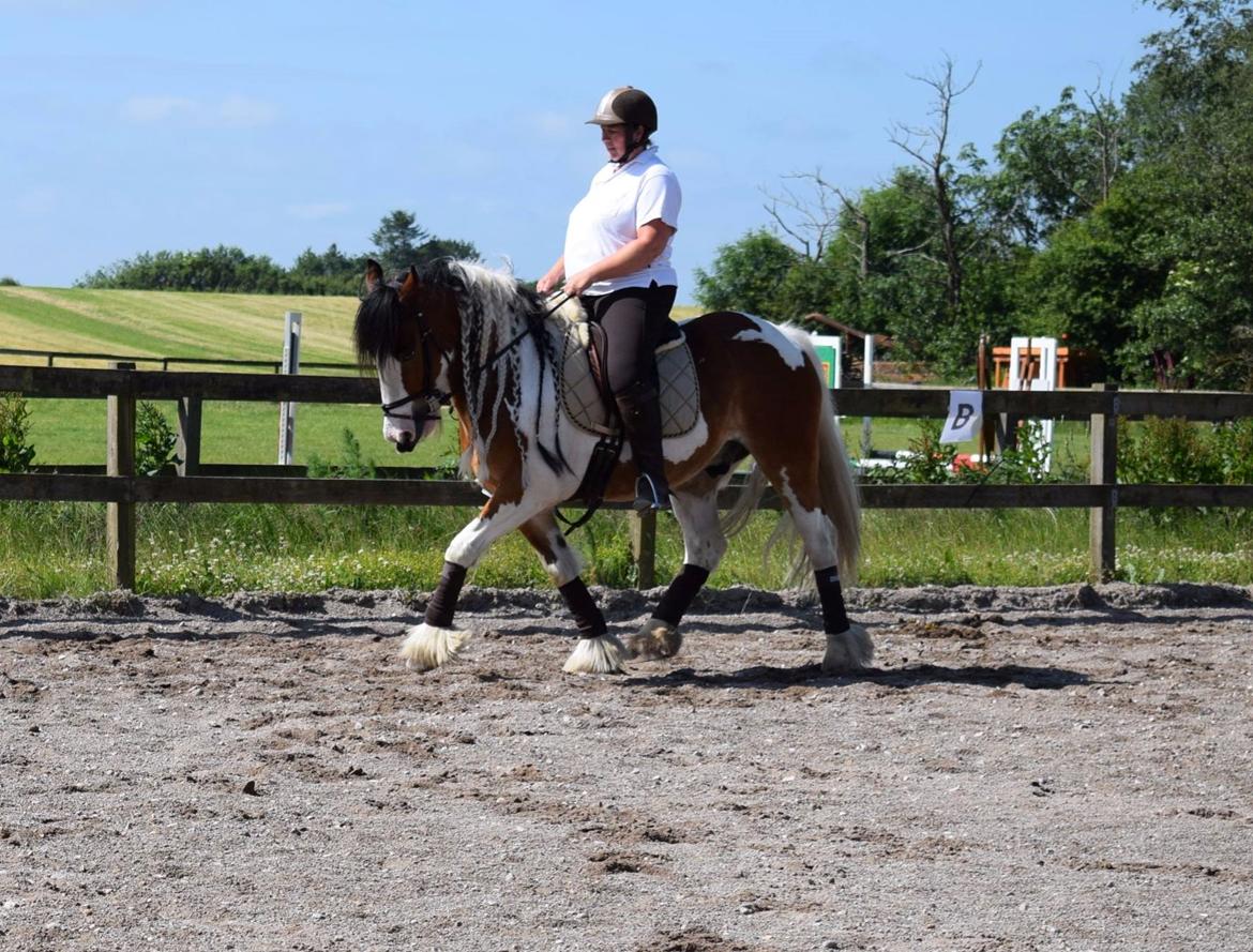 Tinker Butler fra bringstrup billede 13