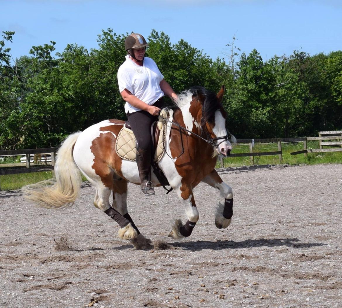 Tinker Butler fra bringstrup billede 15
