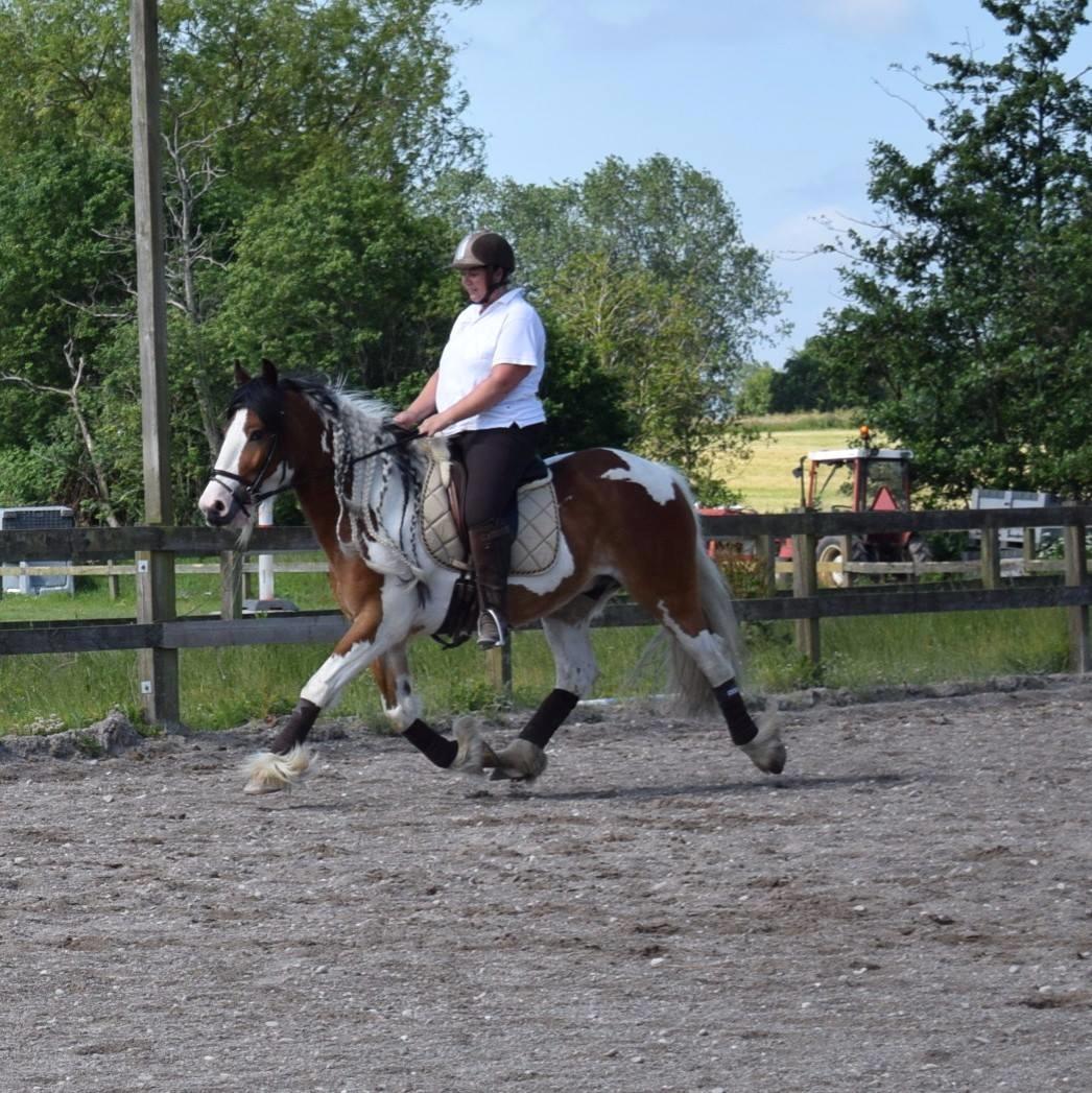 Tinker Butler fra bringstrup billede 16