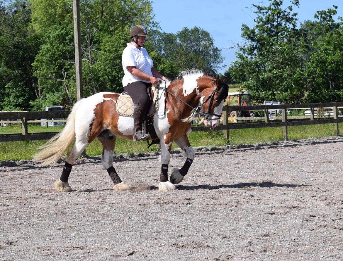 Tinker Butler fra bringstrup billede 17