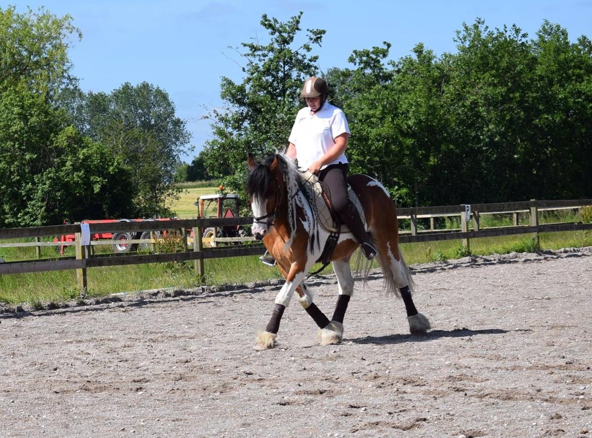 Tinker Butler fra bringstrup billede 14