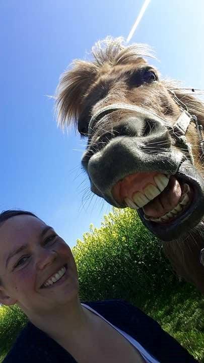 Anden særlig race Dino billede 3