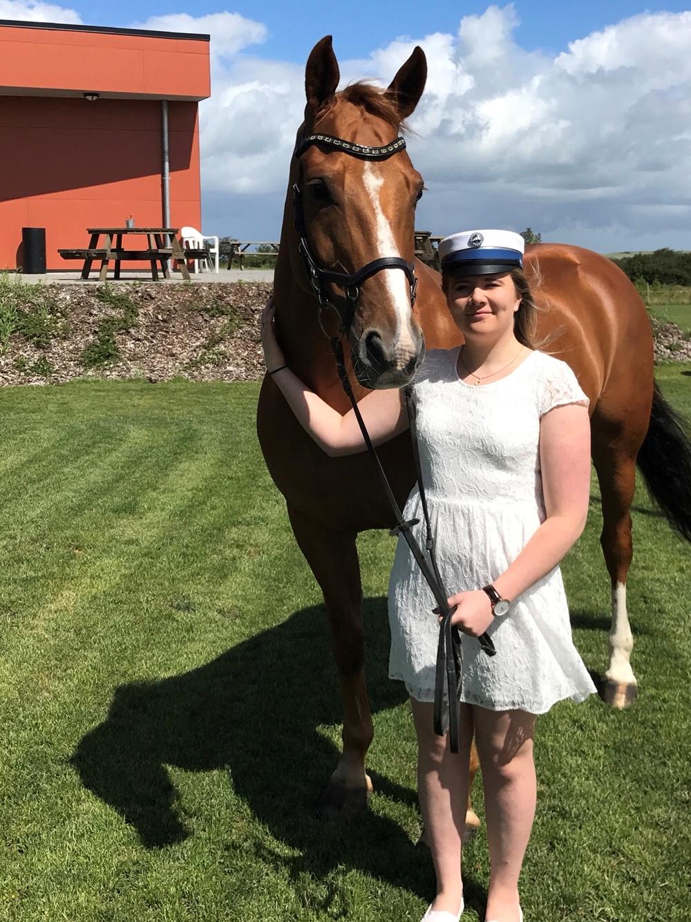 Dansk Varmblod Kærholms Sauer billede 2