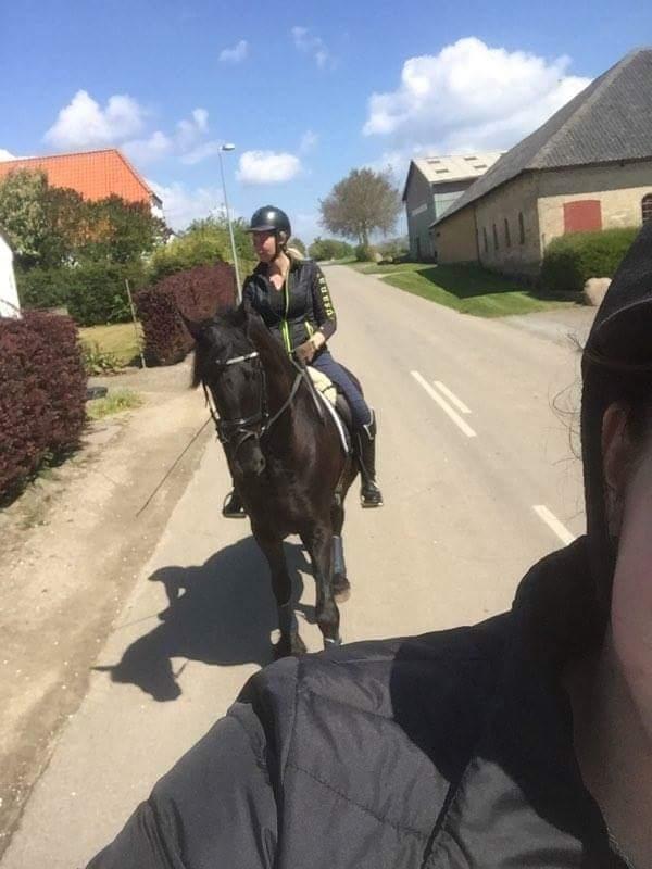 Frieser IDS billede 11