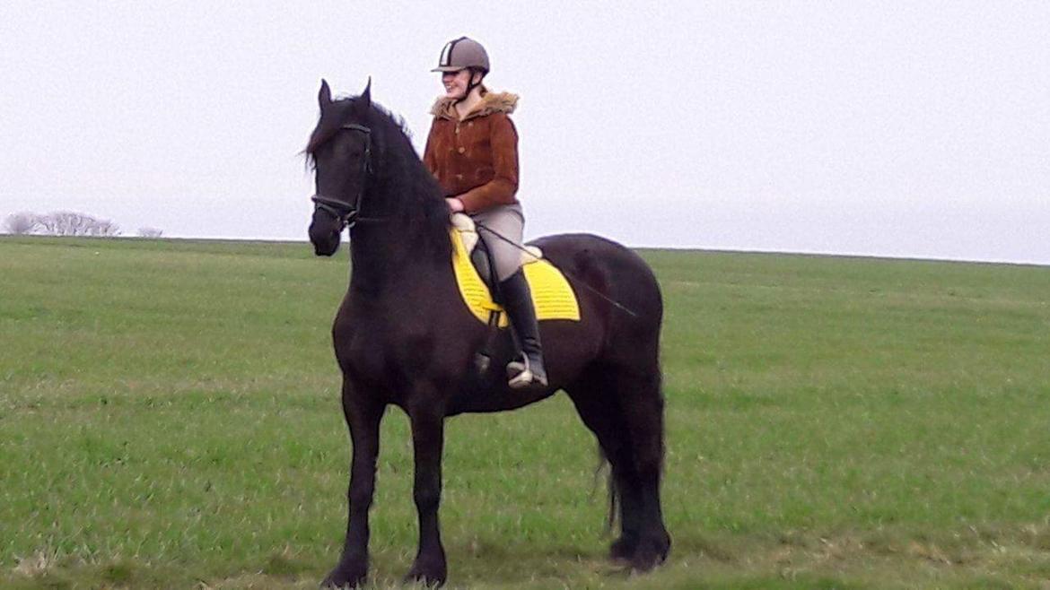 Frieser IDS billede 12