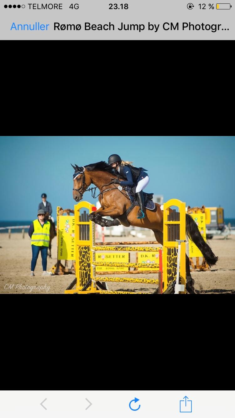 Holstener Søndervangs comet billede 17