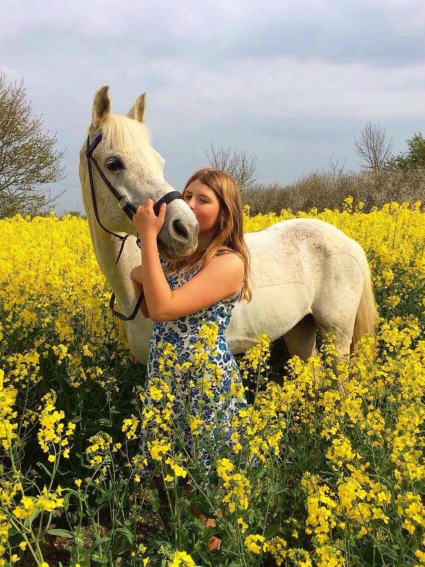 Anden særlig race Amadeus (aka Deuer) billede 3