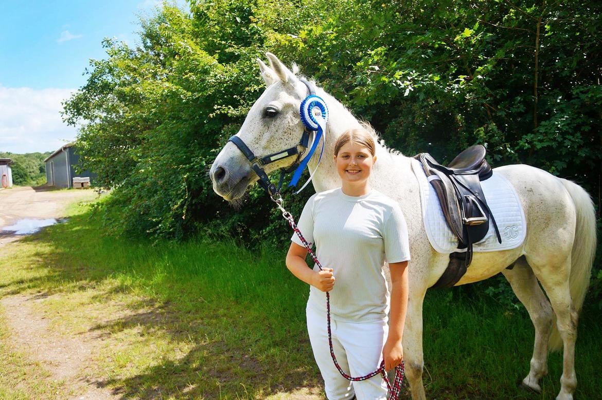 Anden særlig race Amadeus (aka Deuer) billede 7