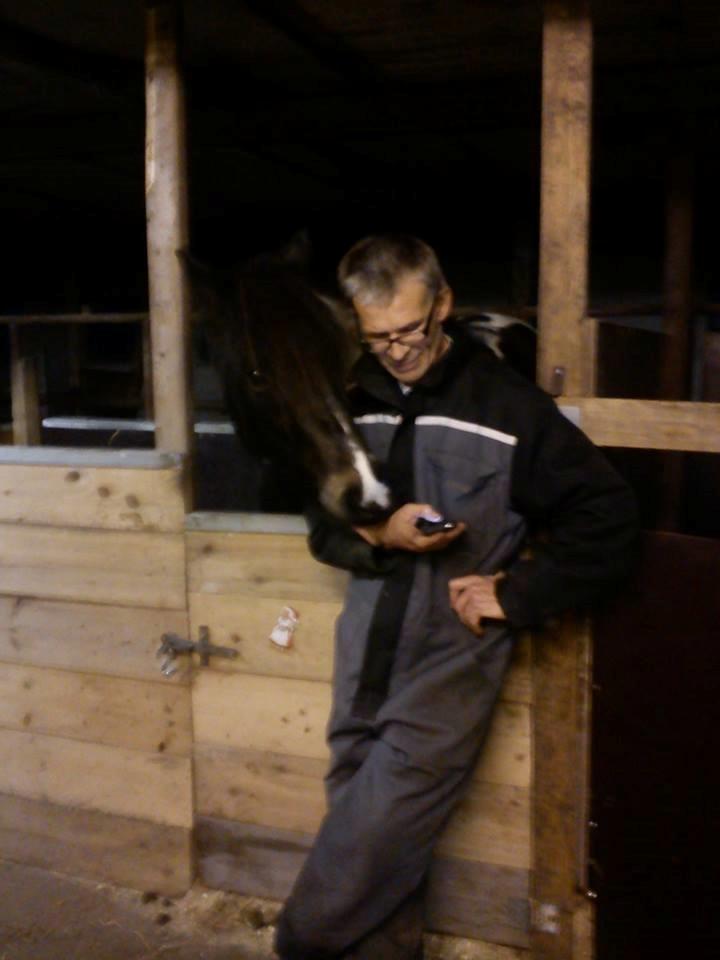 Anden særlig race Fernando billede 4