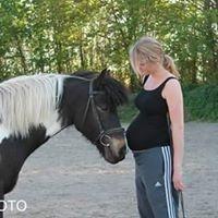 Anden særlig race Fernando billede 6