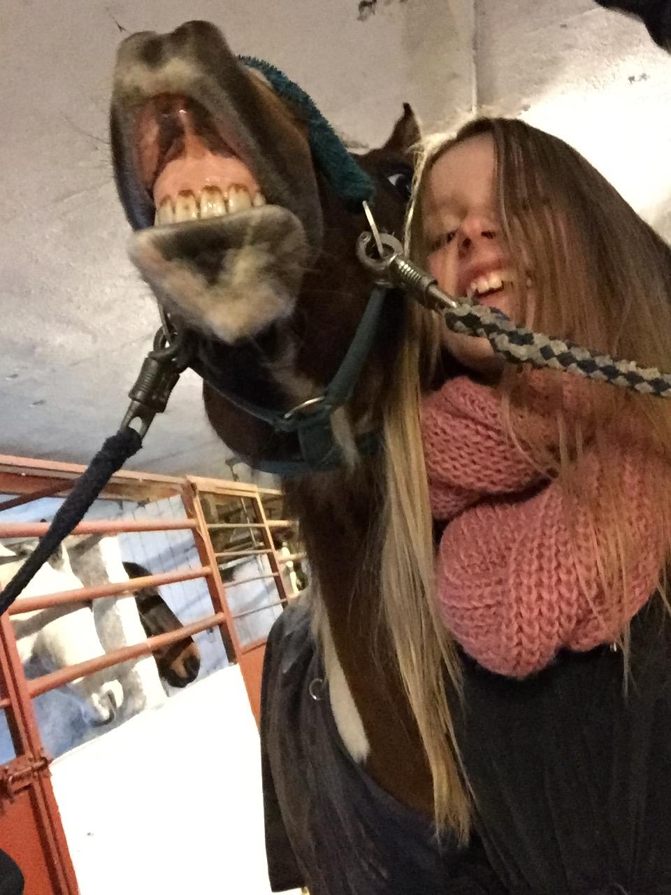 Anden særlig race Johnny Just For fun La cour (jolly) billede 10