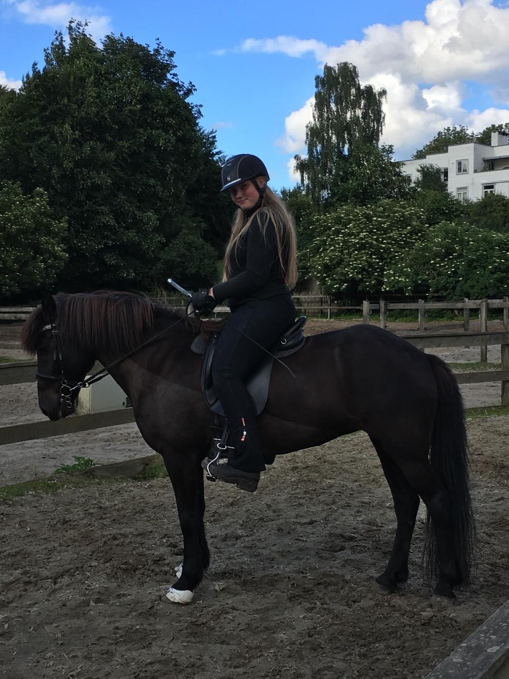 Islænder Kolka  fra Vinkærgård billede 19