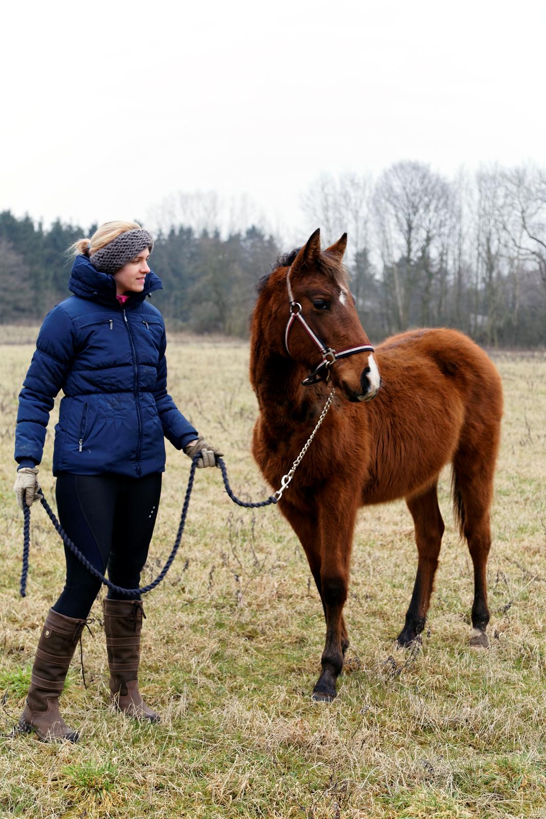 Anden særlig race NUIT D'HIVER FELIX - Januar 2016 billede 8