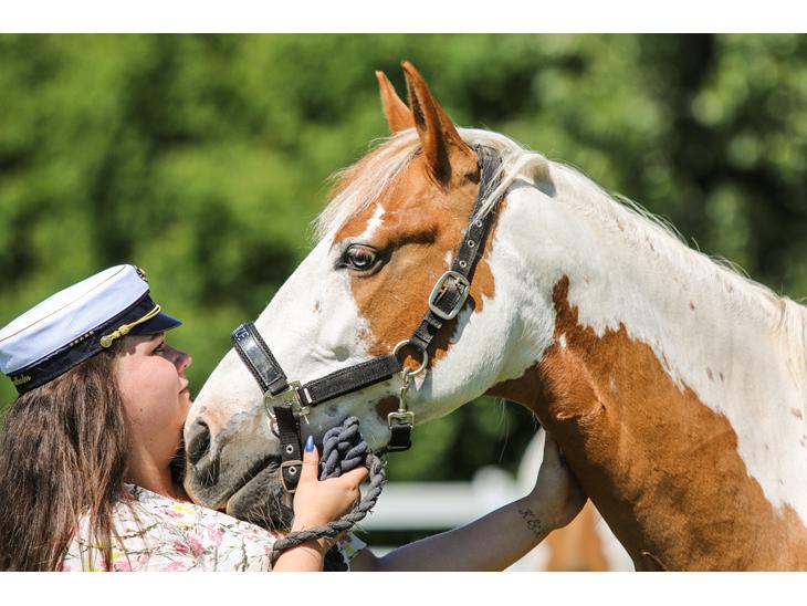 {{currentPhoto.altText}} billede {{currentPhoto.number}}