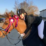 Welsh Pony (sec B) Bjerregårds zenta