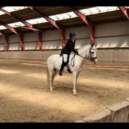 Anden særlig race UFFE