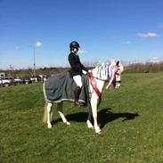 Anden særlig race UFFE