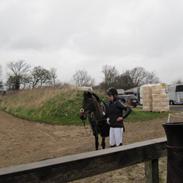 Irsk Hunter Chapman de la cruz