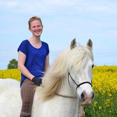 Tinker Ulvebakgaards Tango