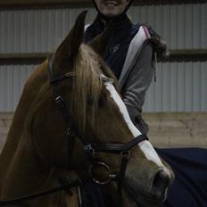 Anden særlig race Bacardi