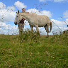 Anden særlig race Clinton  (Præsidenten) 
