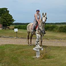 Anden særlig race Clinton  (Præsidenten) 