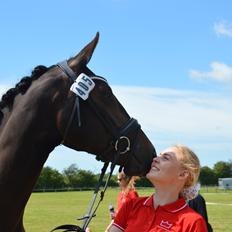 Dansk Varmblod Elversøes Kygo Magic