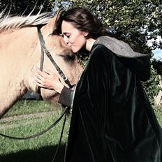 Anden særlig race Islænder - Tristan Son Of The Guardians.