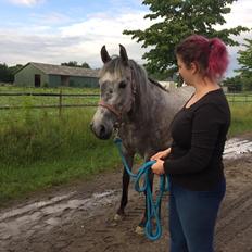 Pura Raza Española BS Adora