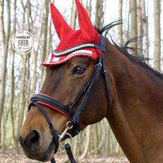 Hannoveraner Glamour Girl