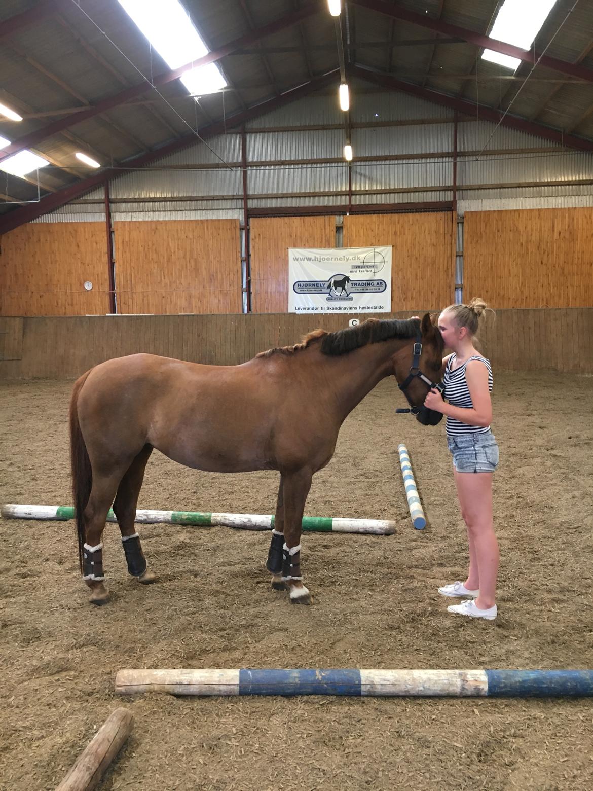 Welsh Pony (sec B) Bjerregårds zenta - Hygge dag efter Prinsessen (min anden pony) blev aflivet😭❤️ billede 12