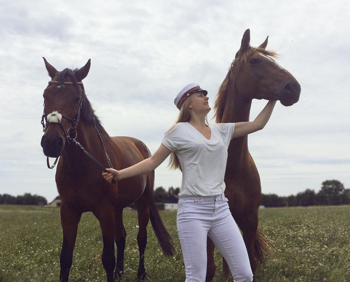 Dansk Varmblod Lille daugårds lady hit billede 8