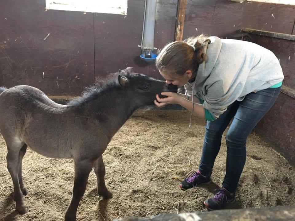 Shetlænder Stratensmindes Made by a Warrior - 30 dage - billede taget af min mutti billede 19