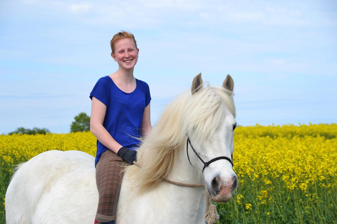 Tinker Ulvebakgaards Tango - Velkommen til Tangos profil! billede 1