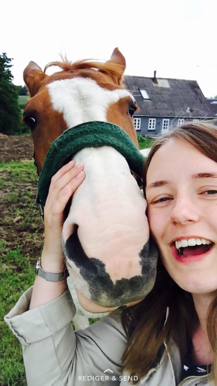 Anden særlig race Freja - Freja var lige med på et selfie på folden ;-) billede 2