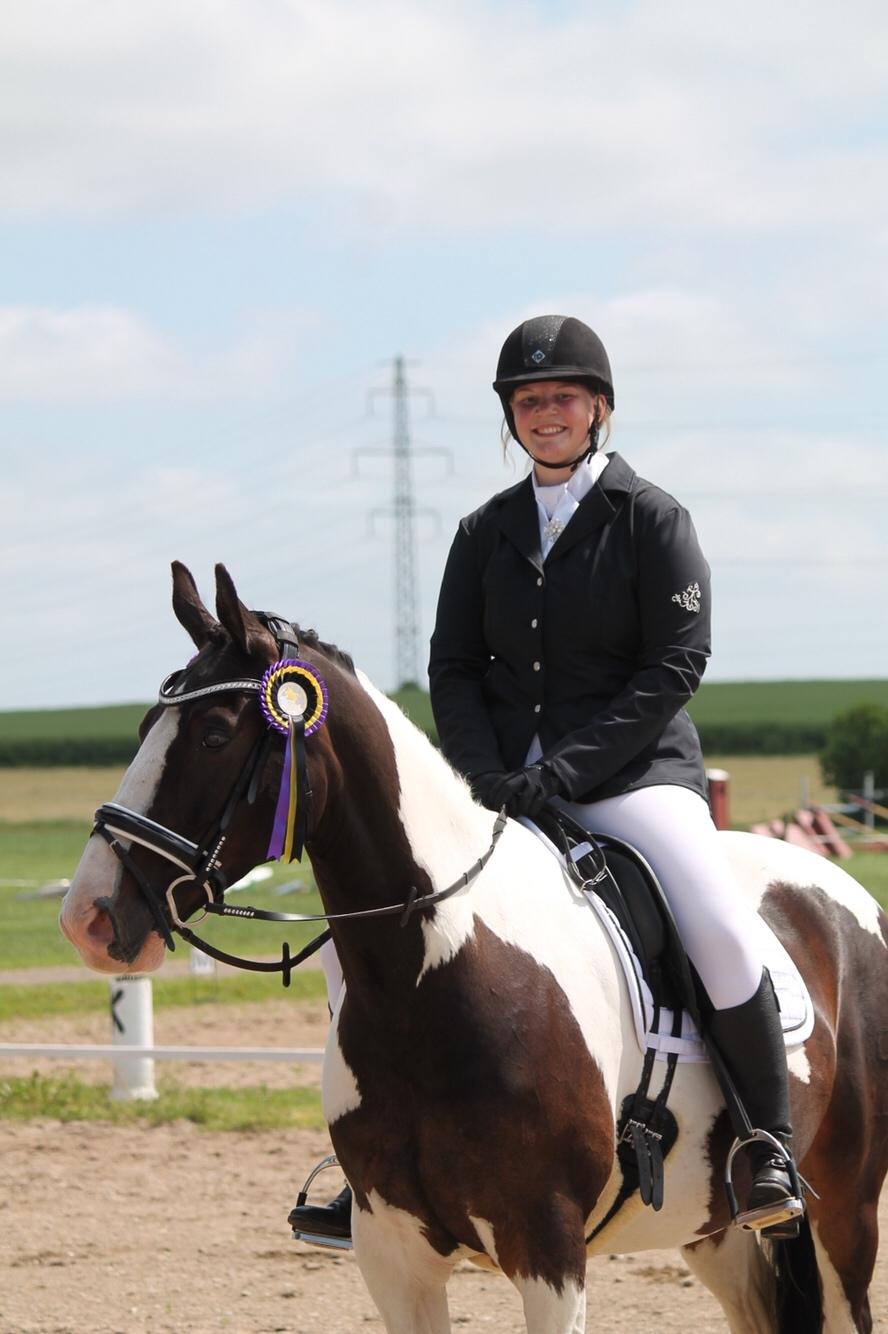 Pinto Bakkegaarden's Montoya billede 3