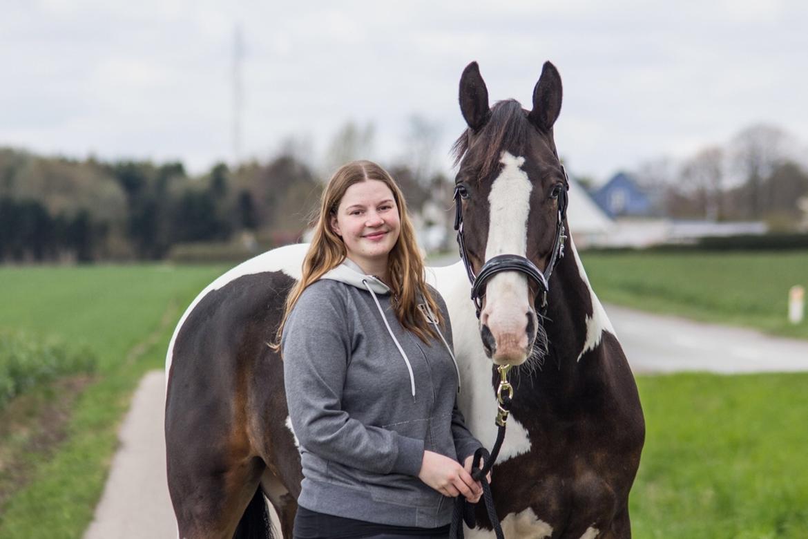 Pinto Bakkegaarden's Montoya billede 7