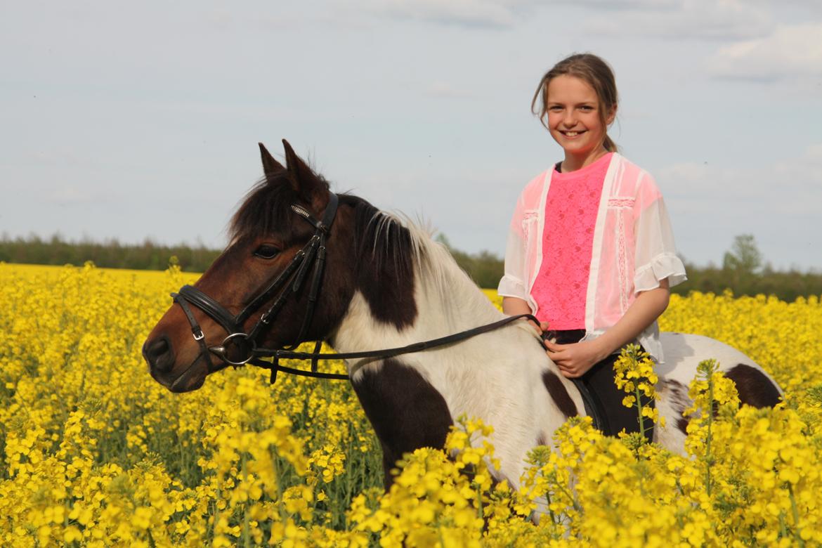 Pinto Østers hollyday billede 2