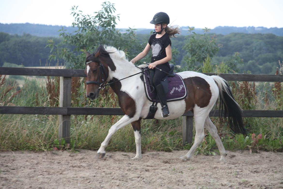 Pinto Østers hollyday billede 6