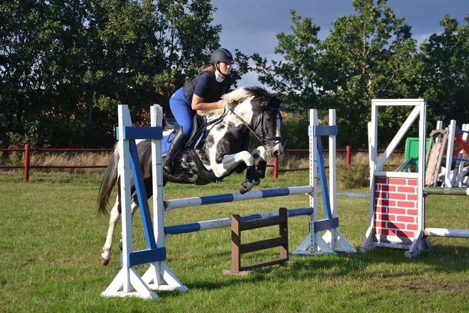 Pinto Vidtskue's fenja billede 4