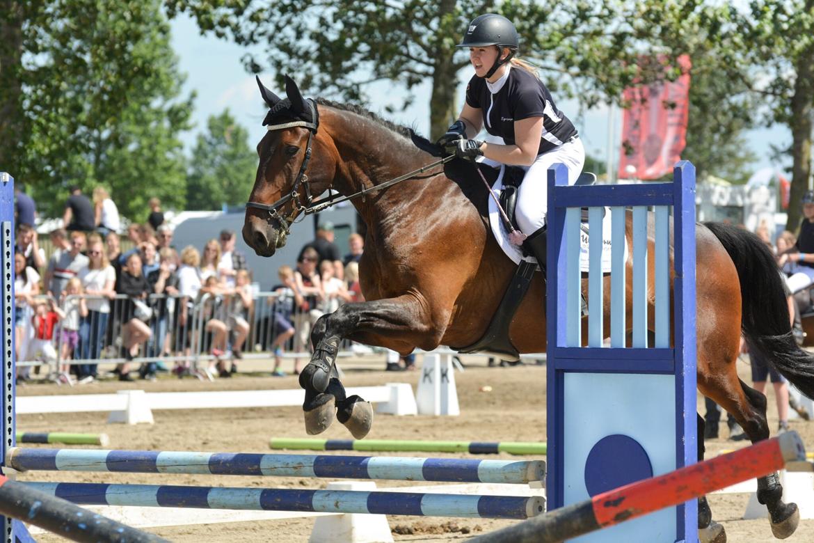 Oldenborg Cornett  - Springstafet Herning Landsskue 2017 billede 33