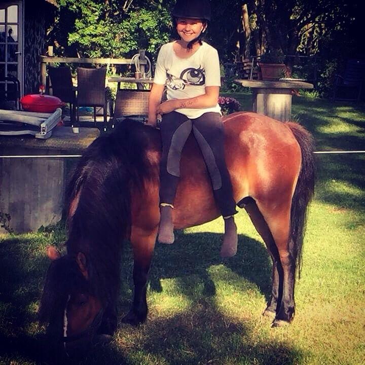 Gotlandsruss Pingo pan billede 5