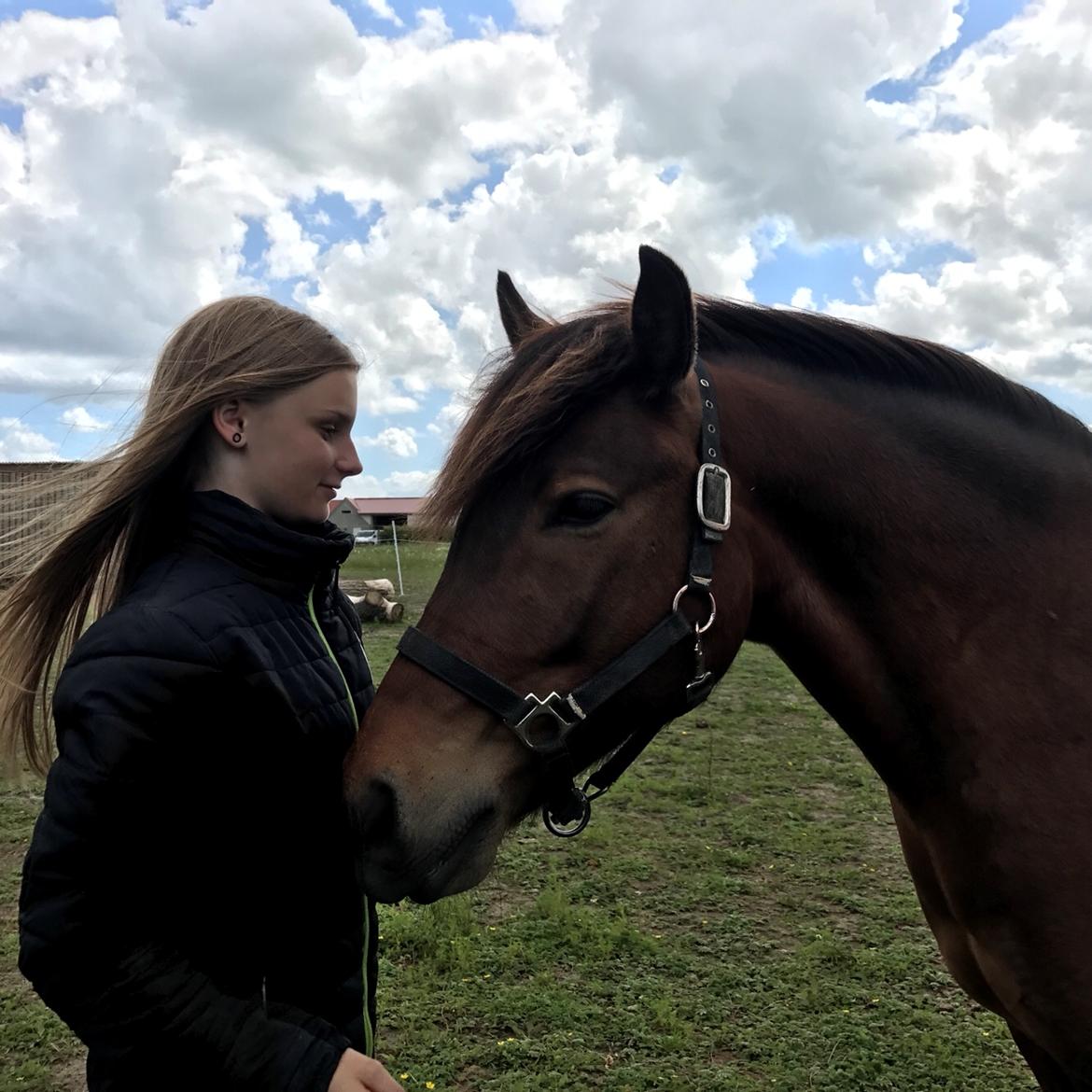 Anden særlig race Herkules billede 15