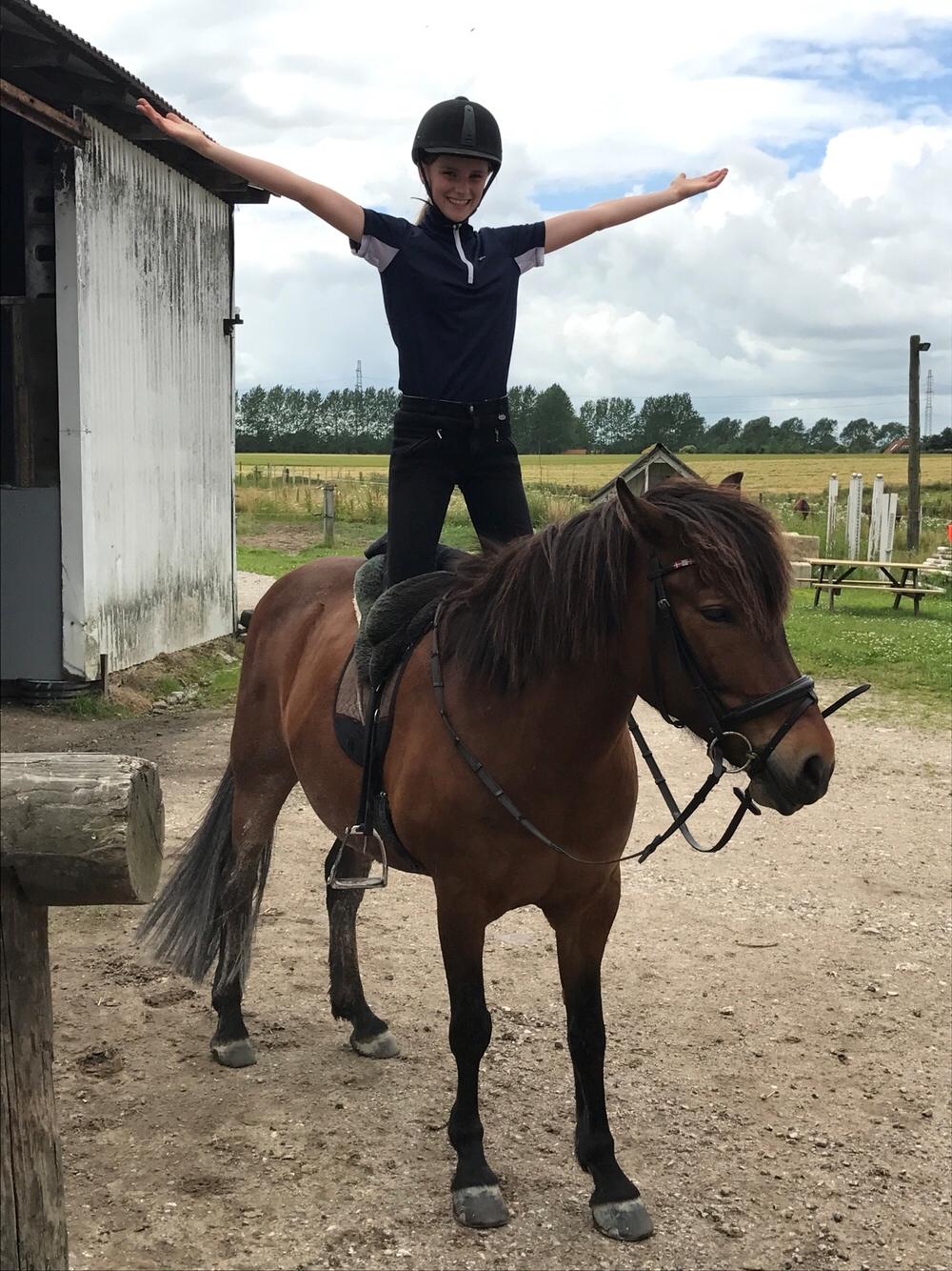 Anden særlig race Herkules billede 16