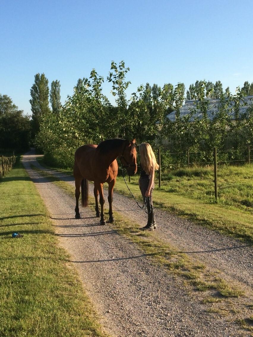 Traver Gunnison (R.I.P)  billede 18