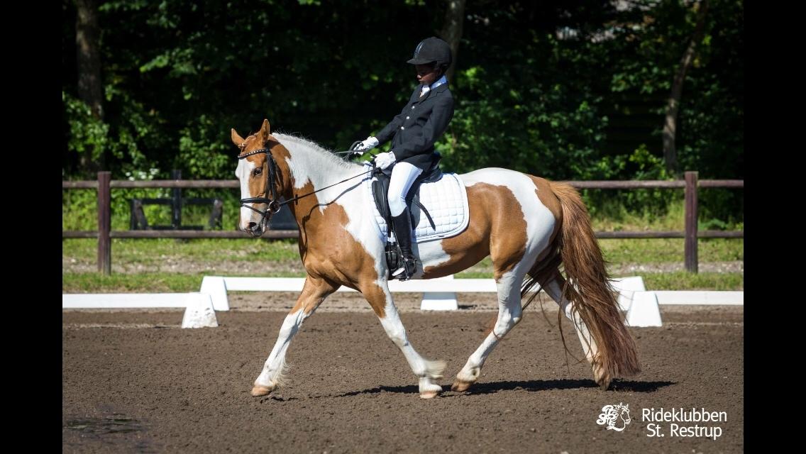 Anden særlig race Smukke Lille Luna billede 12