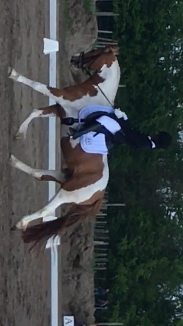 Anden særlig race Smukke Lille Luna billede 13