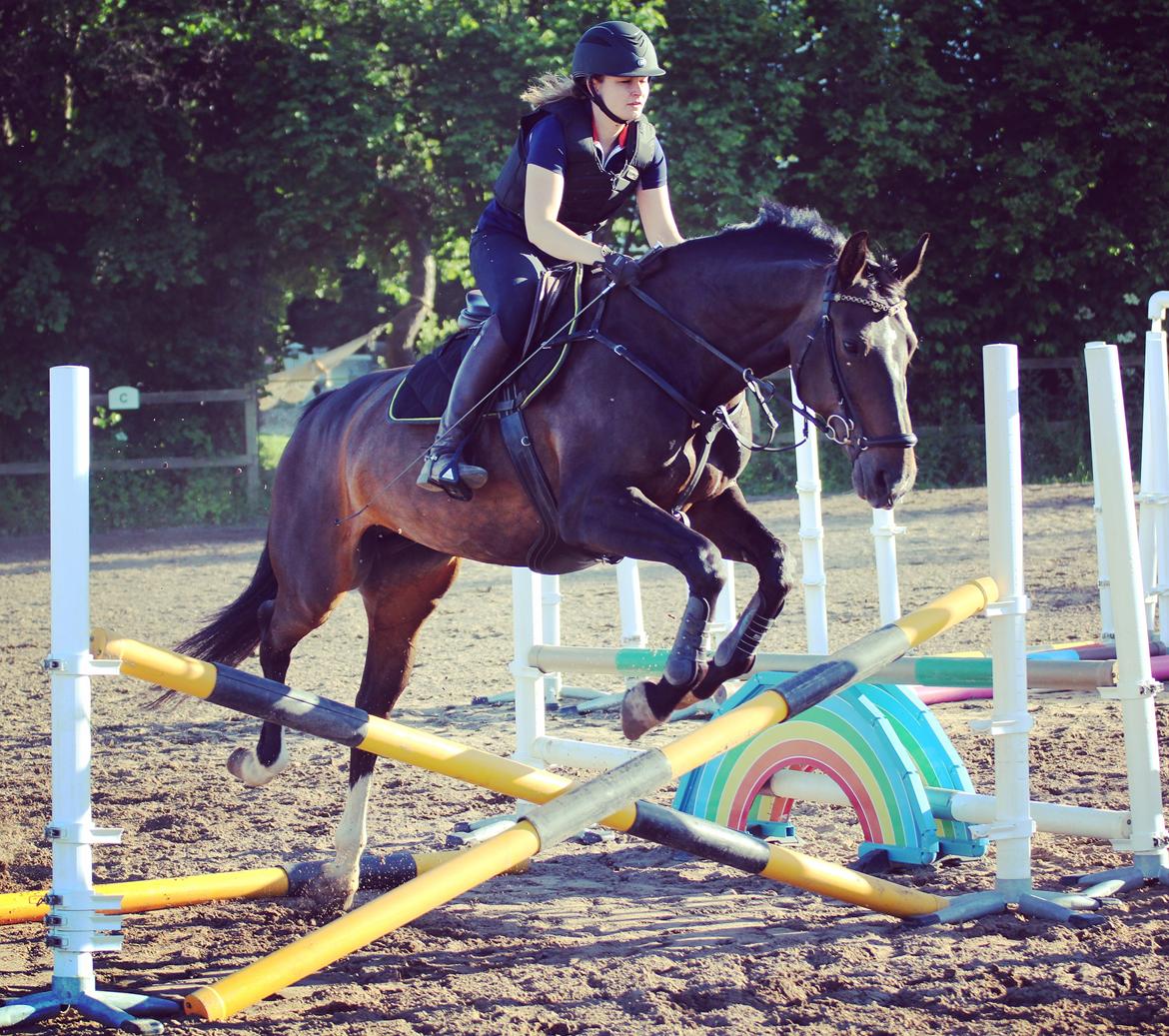 Oldenborg Kikki Mølgaard billede 5